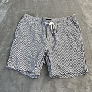 Express Shorts Mens Medium Blue Striped Linen Cotton Drawstring Chino Coastal